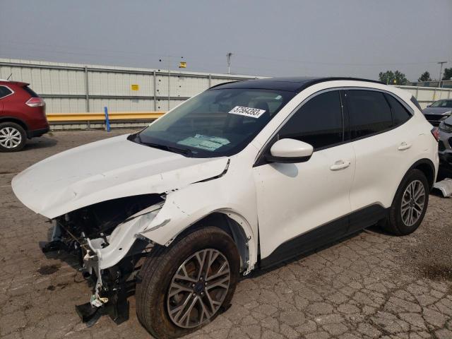 Ford Escape sel (2020)