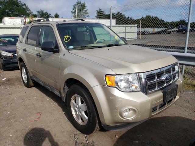 Ford Escape xlt (2012)