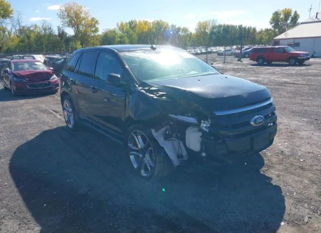 Ford Edge (2014)