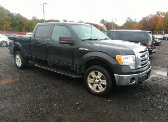 Ford F-150 (2010)