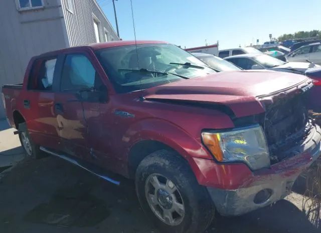 Ford F-150 (2010)