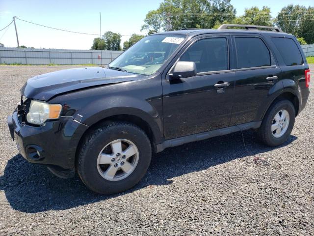 Ford Escape xlt (2011)