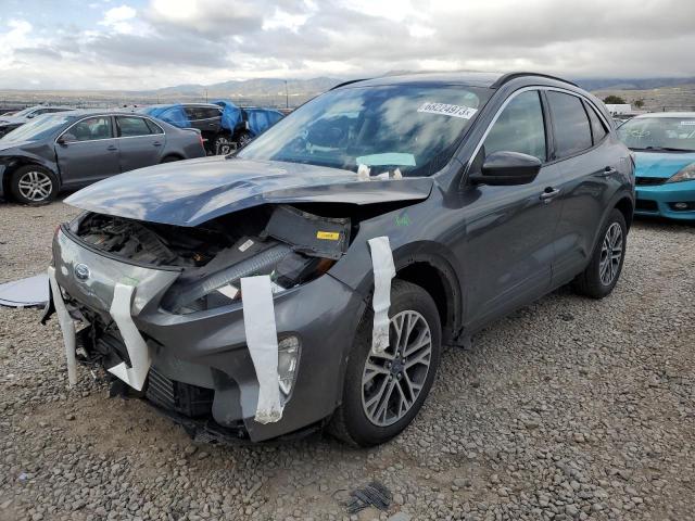 Ford Escape sel (2020)