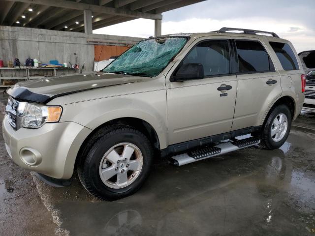 Ford Escape xlt (2012)