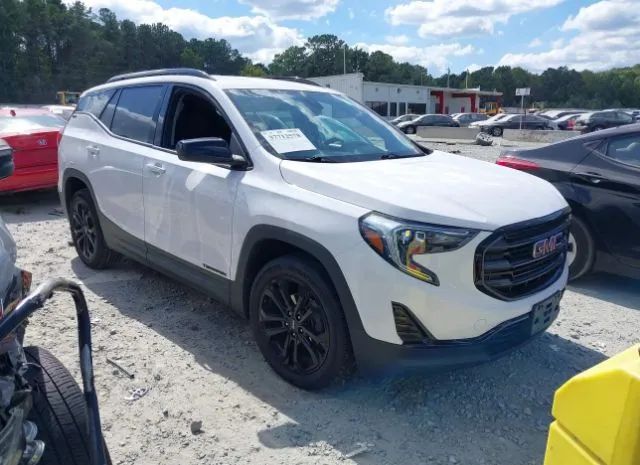Gmc Terrain (2020)