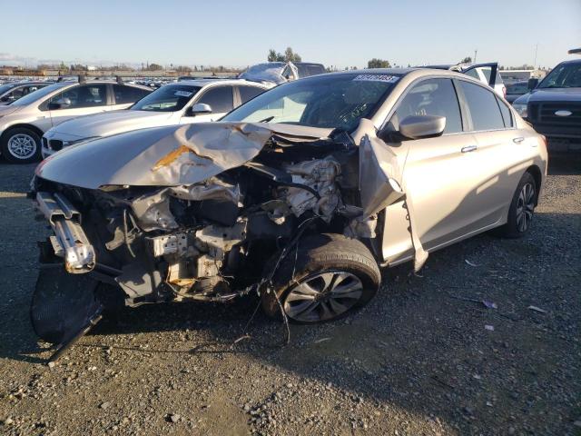 Honda Accord lx (2013)