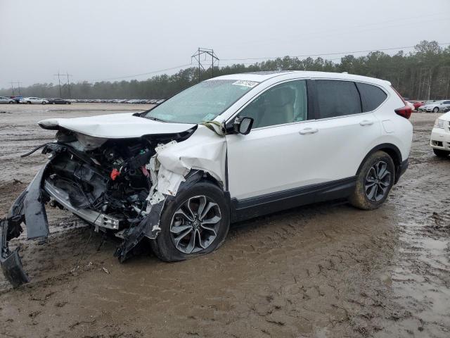 Honda Cr-v ex (2022)