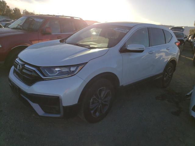 Honda Cr-v ex (2020)