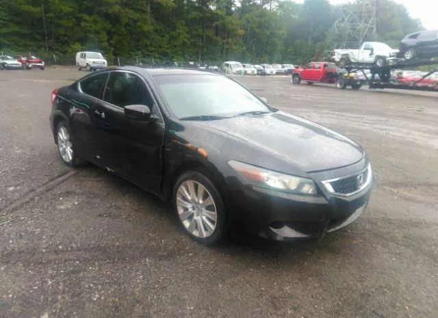 Honda Accord cpe (2011)