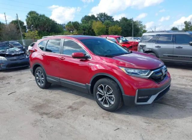 Honda Cr-v hybrid (2021)