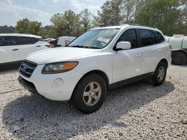Hyundai Santa fe g (2007)