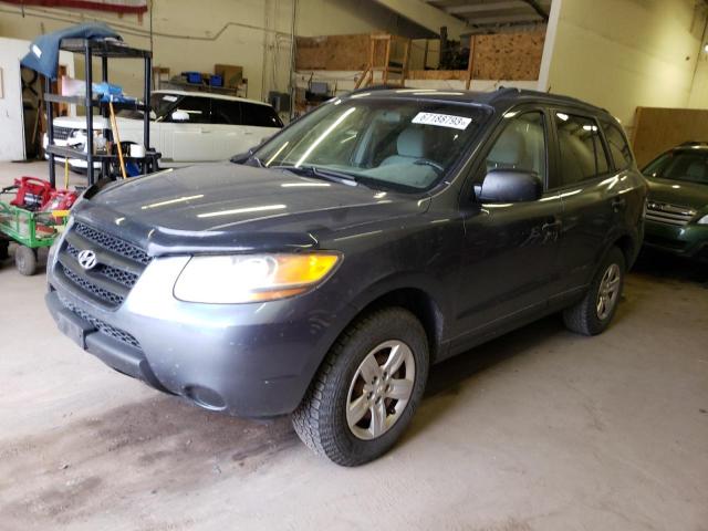 Hyundai Santa fe g (2009)