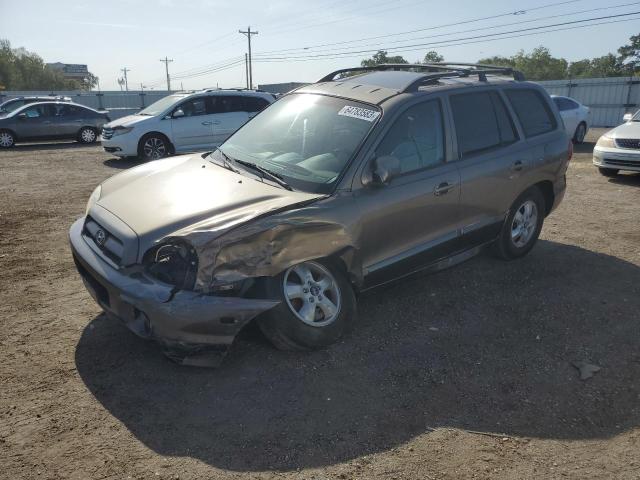 Hyundai Santa fe g (2005)