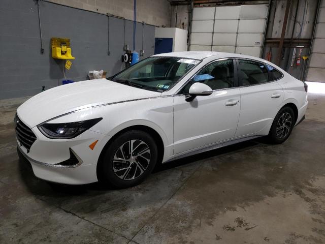 Hyundai Sonata hyb (2021)
