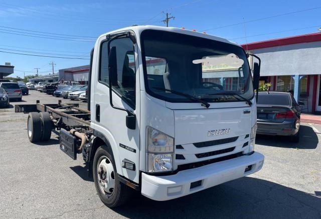 Isuzu Nqr (2022)