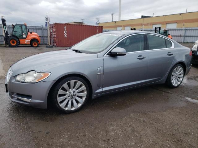 Jaguar Xf superch (2010)