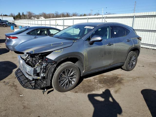 Lexus Nx 350 (2023)