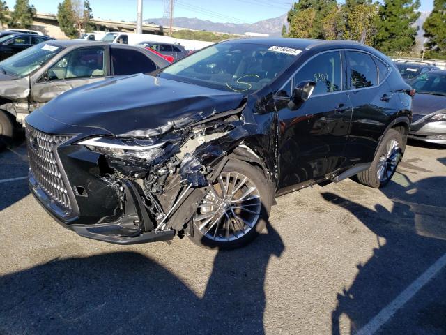 Lexus Nx 350 (2022)