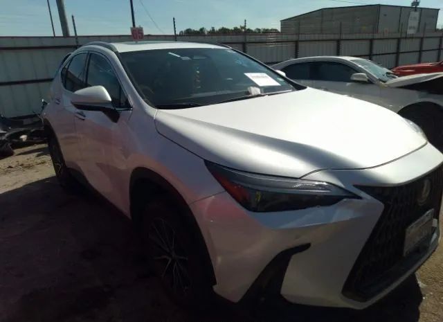 Lexus Nx 350 (2022)