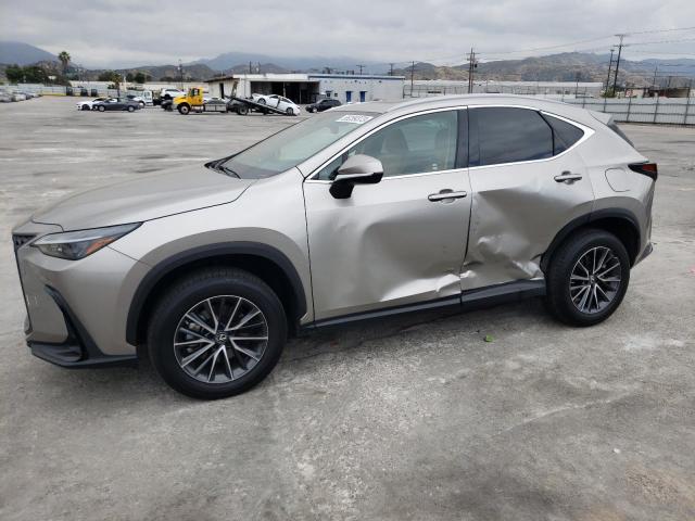 Lexus Nx 350 (2022)