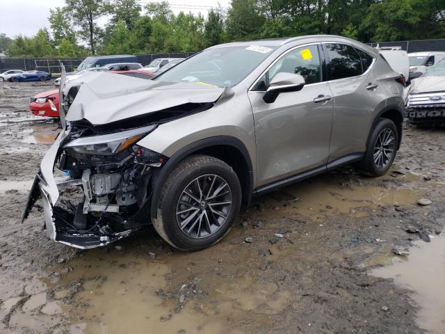 Lexus Nx 350 (2023)