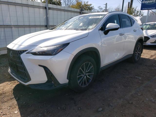 Lexus Nx 350 (2022)