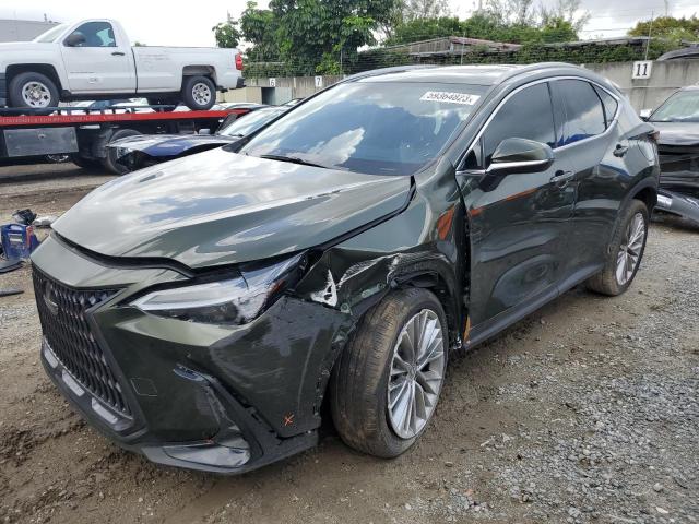 Lexus Nx 350 (2022)