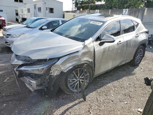 Lexus Nx 350 (2022)
