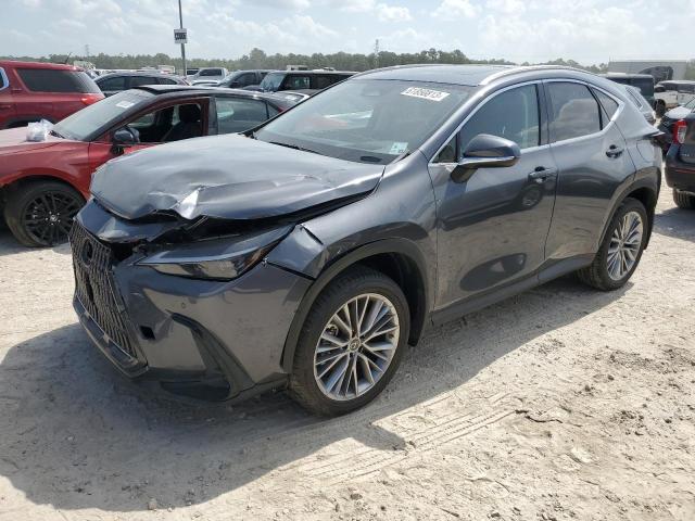Lexus Nx 350 (2022)