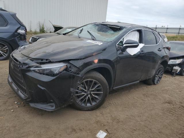Lexus Nx 350 (2022)