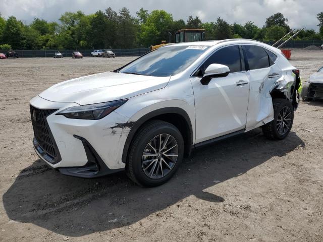 Lexus Nx 350 (2023)