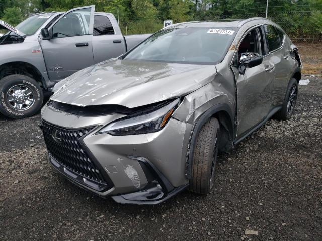 Lexus Nx 250 pre (2024)