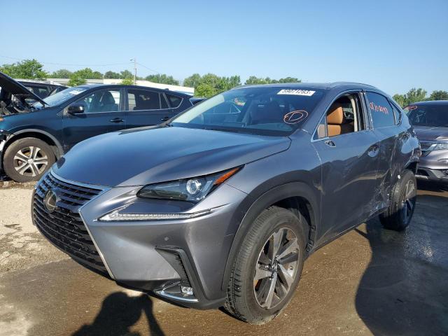 Lexus Nx 300 (2020)
