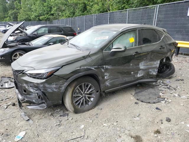 Lexus Nx 350 (2022)