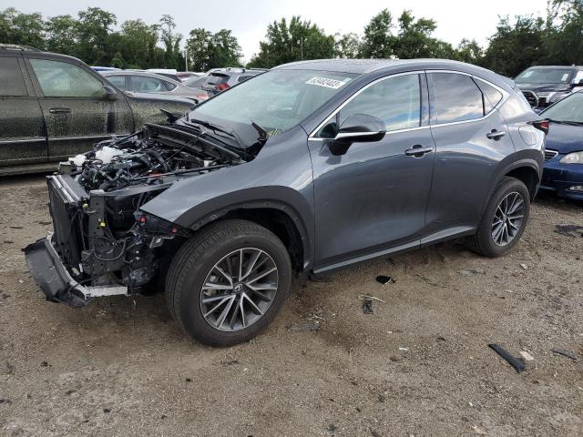 Lexus Nx 350 (2022)