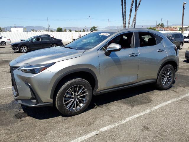 Lexus Nx 250 pre (2024)