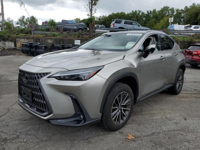 Lexus Nx 350 (2022)