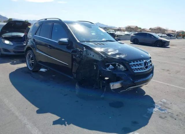 Mercedes-benz M-class (2010)