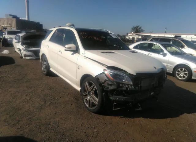 Mercedes-benz M-class (2013)