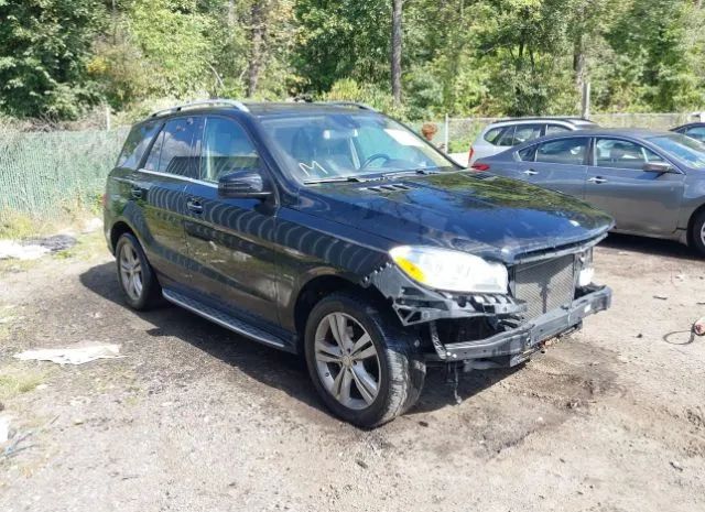 Mercedes-benz M-class (2015)