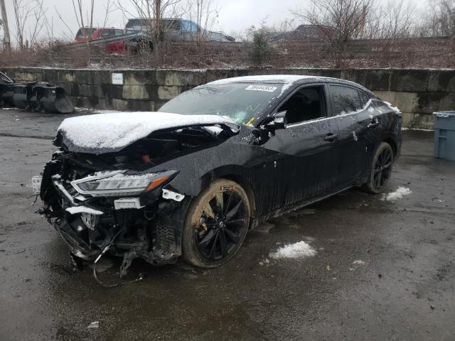 Nissan Maxima sr (2022)