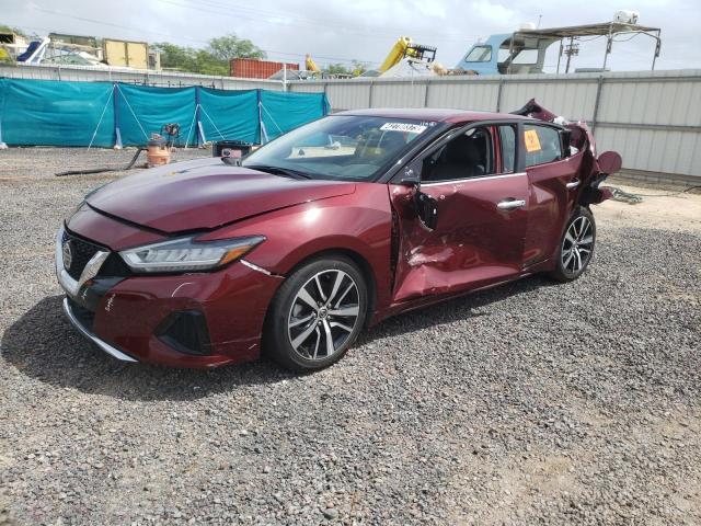 Nissan Maxima sv (2021)