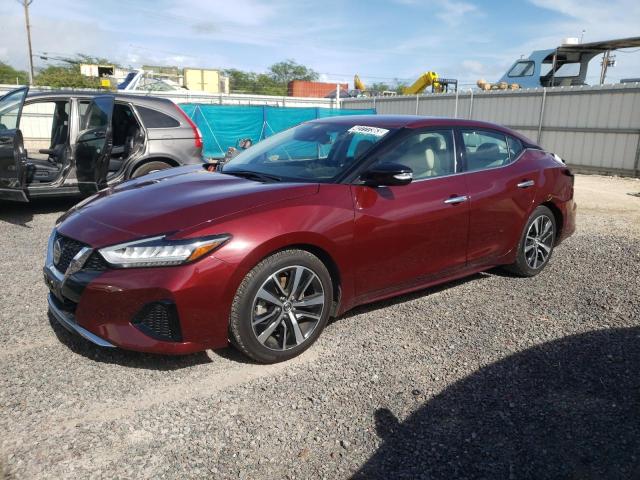 Nissan Maxima sv (2021)