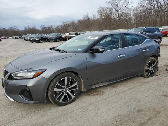 Nissan Maxima sv (2022)