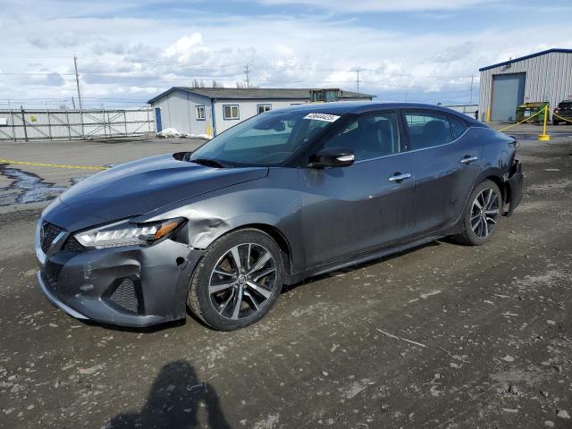 Nissan Maxima sv (2021)