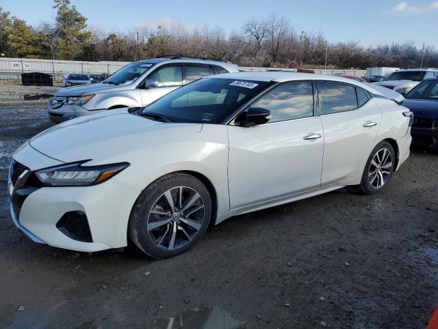 Nissan Maxima sv (2021)