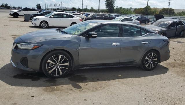 Nissan Maxima sv (2021)