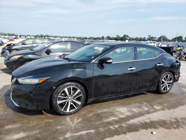 Nissan Maxima sv (2021)