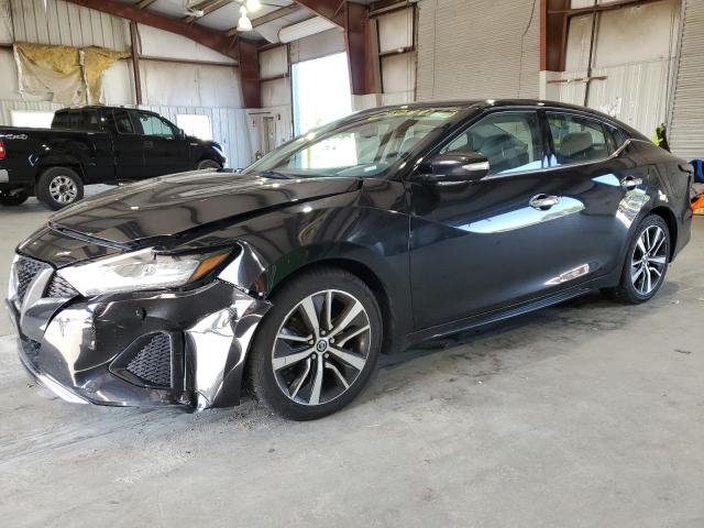 Nissan Maxima sv (2020)