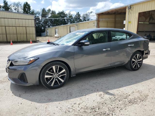 Nissan Maxima sv (2022)